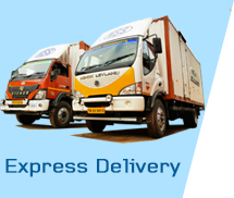 Express Deliver Services