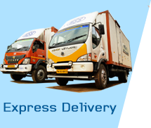 Express Deliver Services